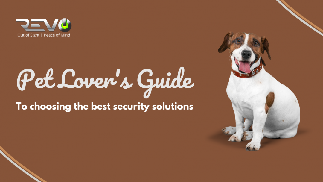 Pet Lovers guide to choosing the best security solutions