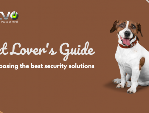 Pet Lovers guide to choosing the best security solutions